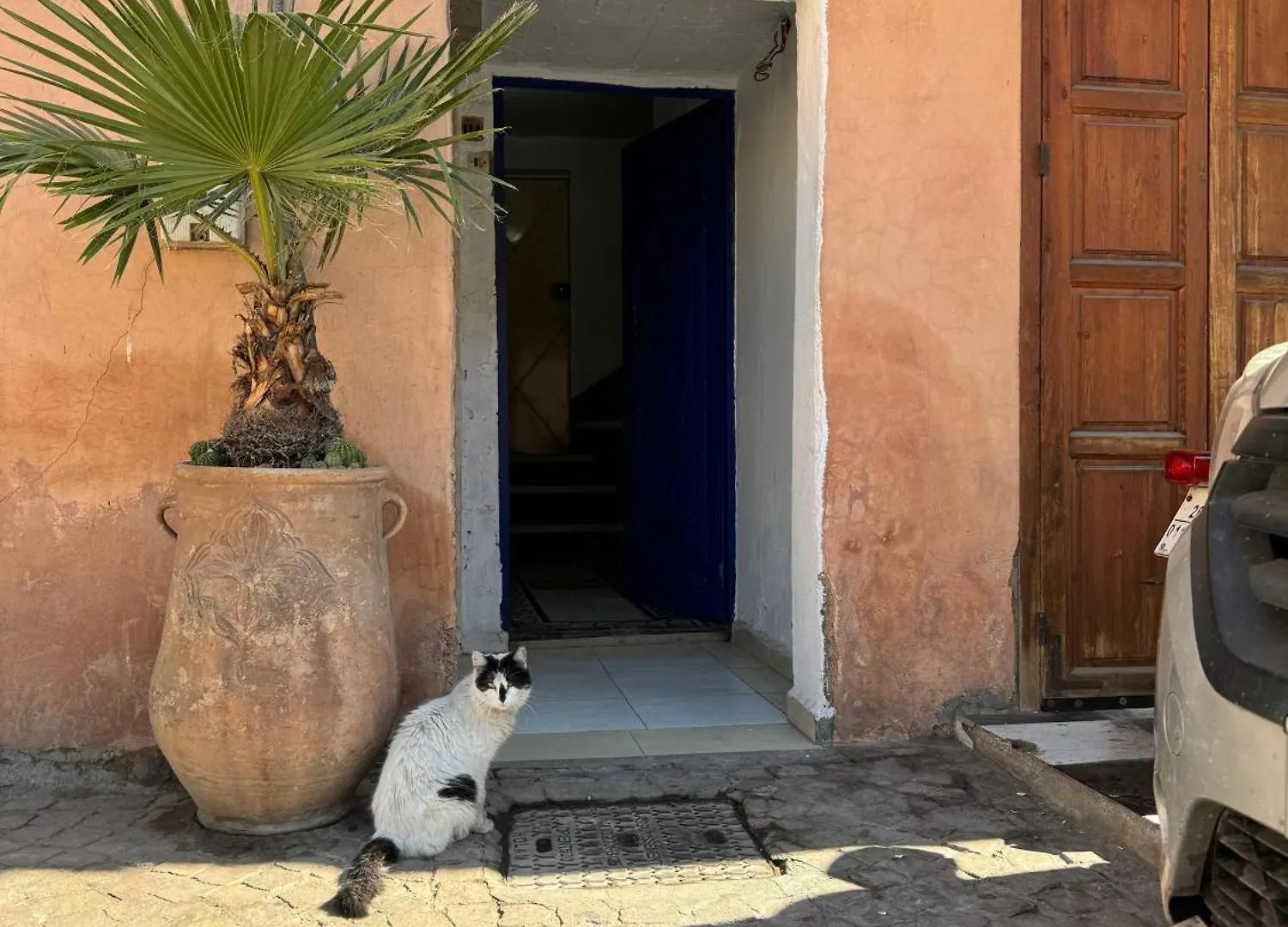 Maison Au Coeur De Marrakech マラケシュ 0*,